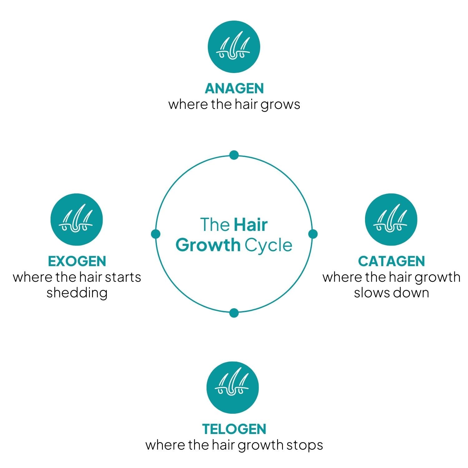 Hair Growth Stimulating Serum - packs